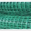 电焊网图片|电焊网样板图|浸塑电焊网-河北省兴华五金制品